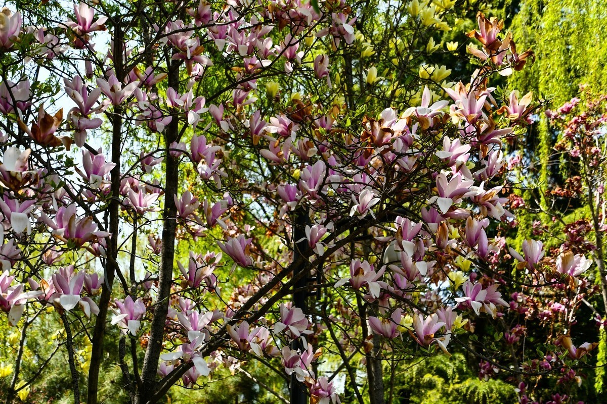 天水马跑泉公园