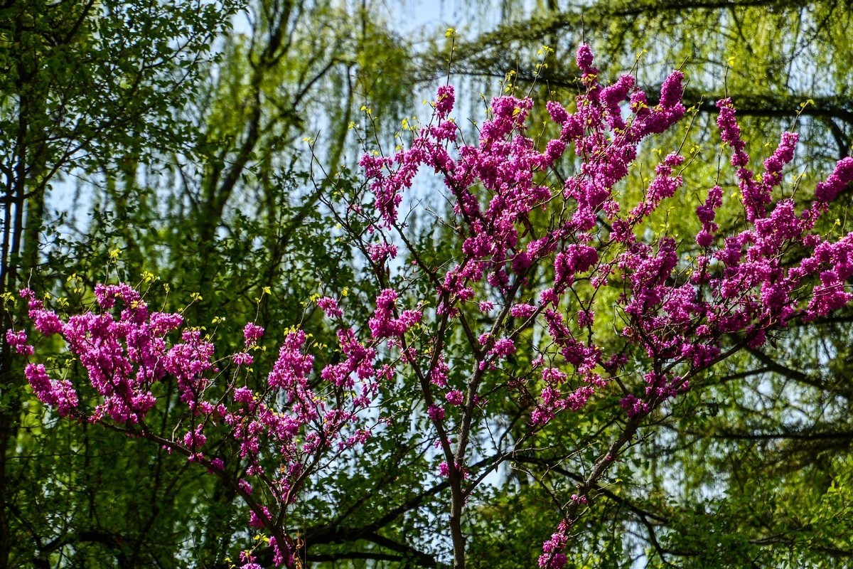 天水马跑泉公园