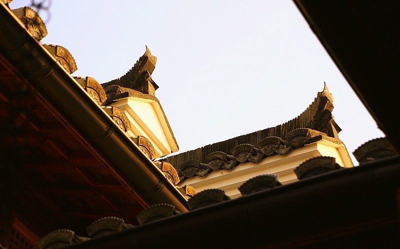 《不老松：纪实摄影》沧州印象.大运河农业生态文化产业示范区！ (02)