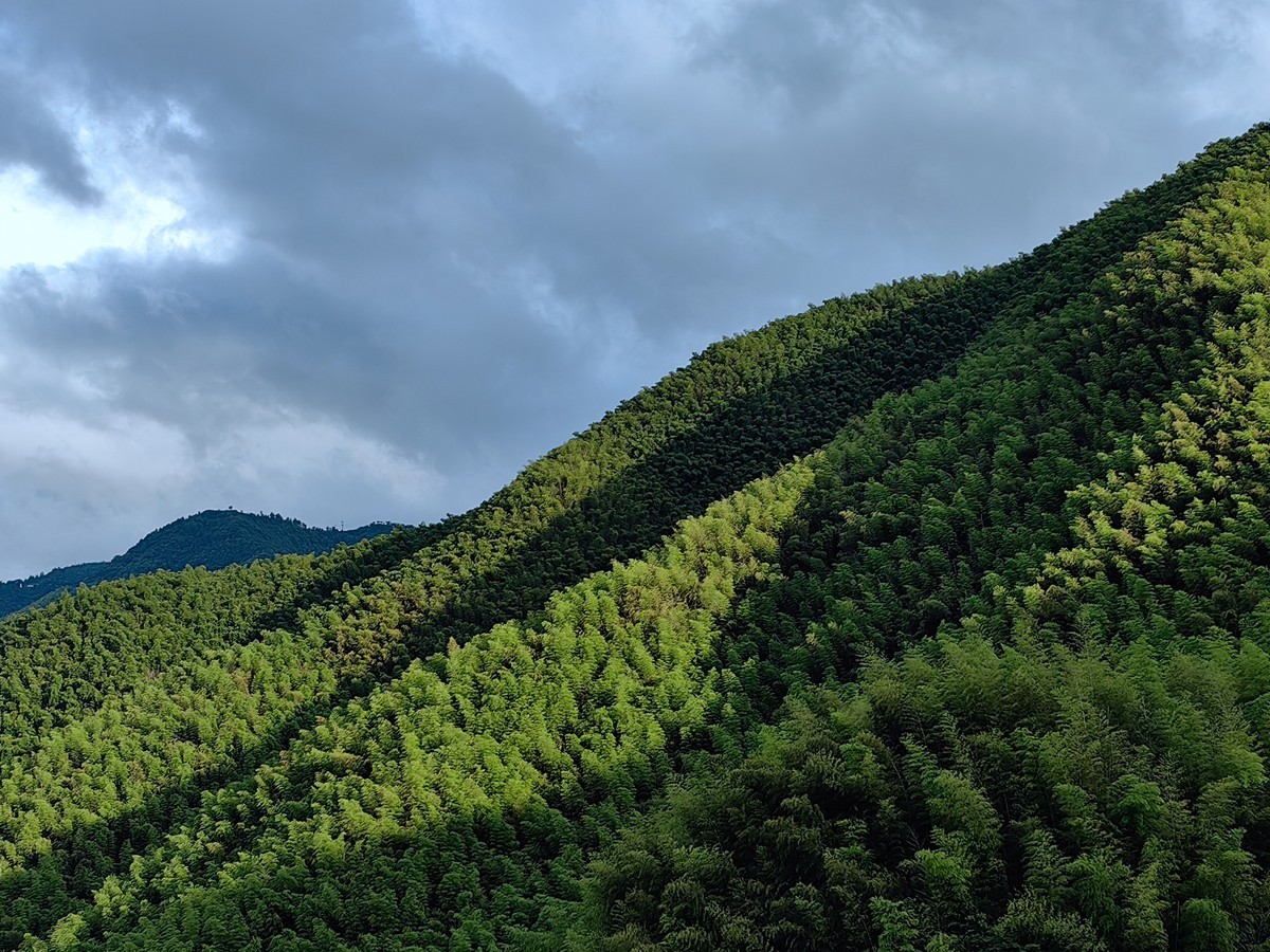 莫干山纪行之一