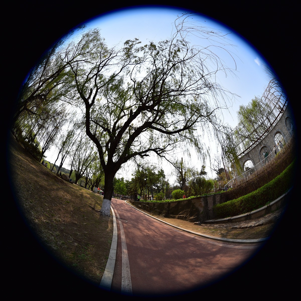 花园山和太子河，鱼眼拍摄。