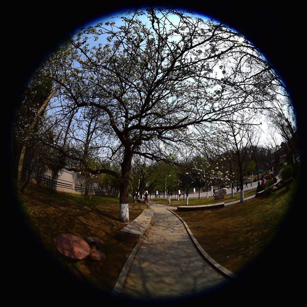 花园山和太子河，鱼眼拍摄。