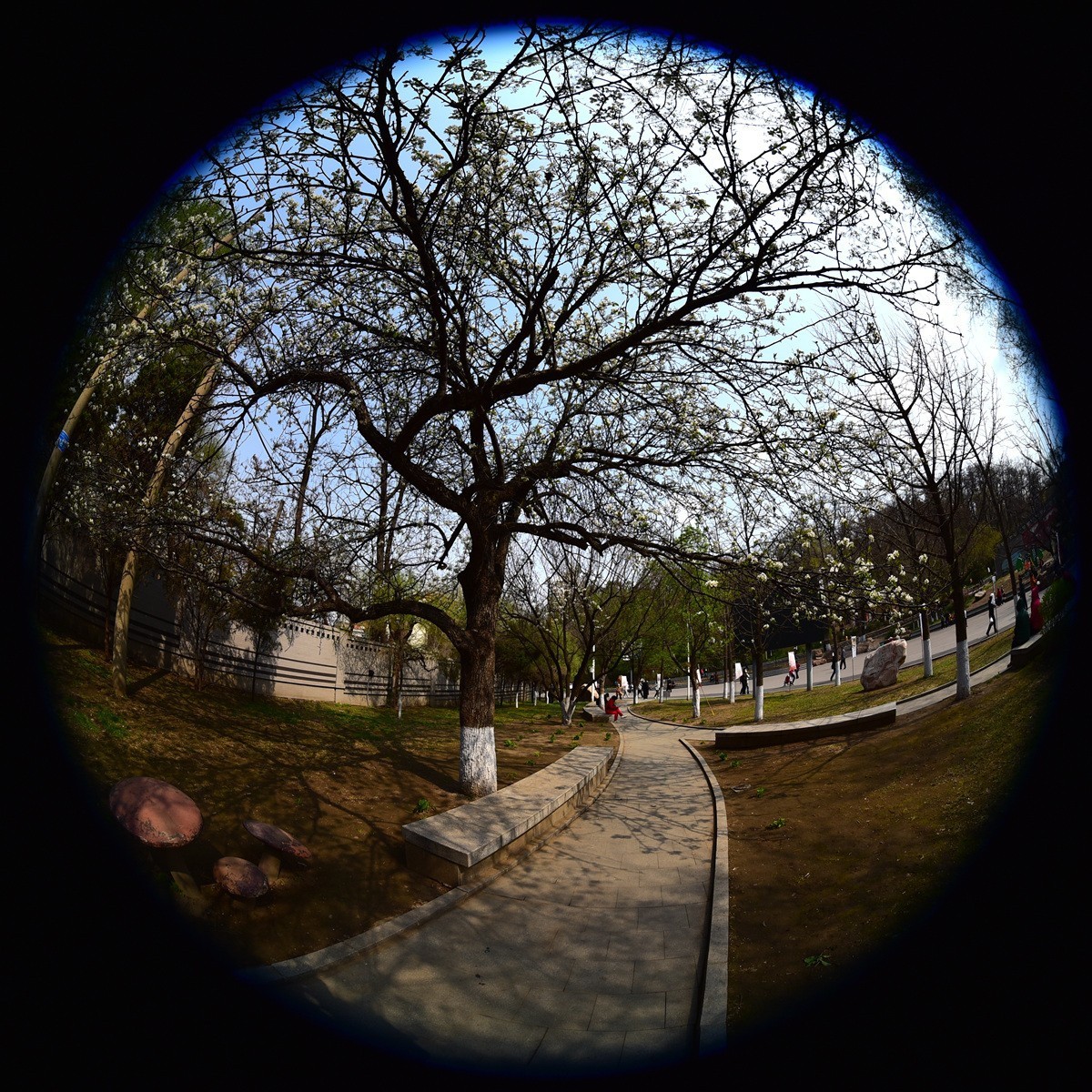 花园山和太子河，鱼眼拍摄。