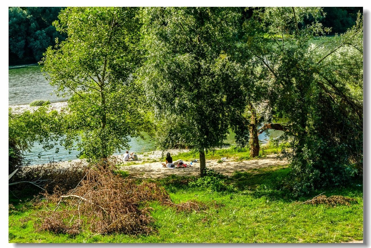 莱茵河畔（德国一侧）