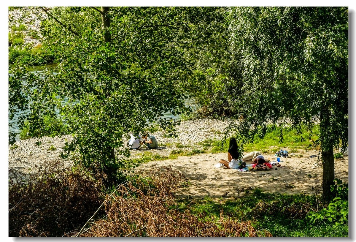 莱茵河畔（德国一侧）