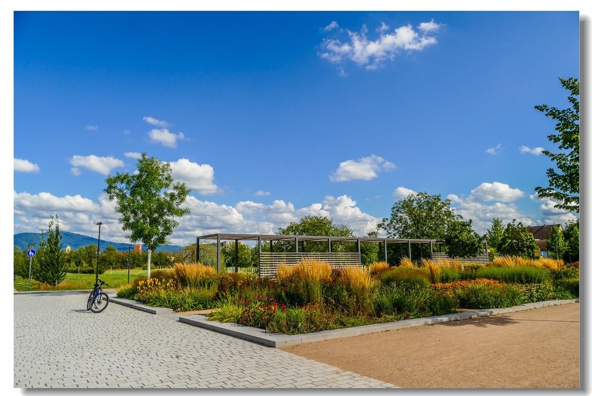 莱茵河畔（德国一侧）