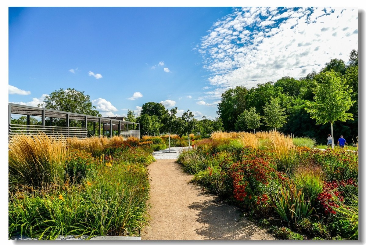 莱茵河畔（德国一侧）