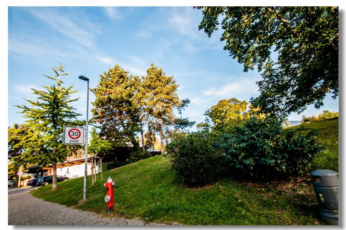 德国小城“米尔海姆”