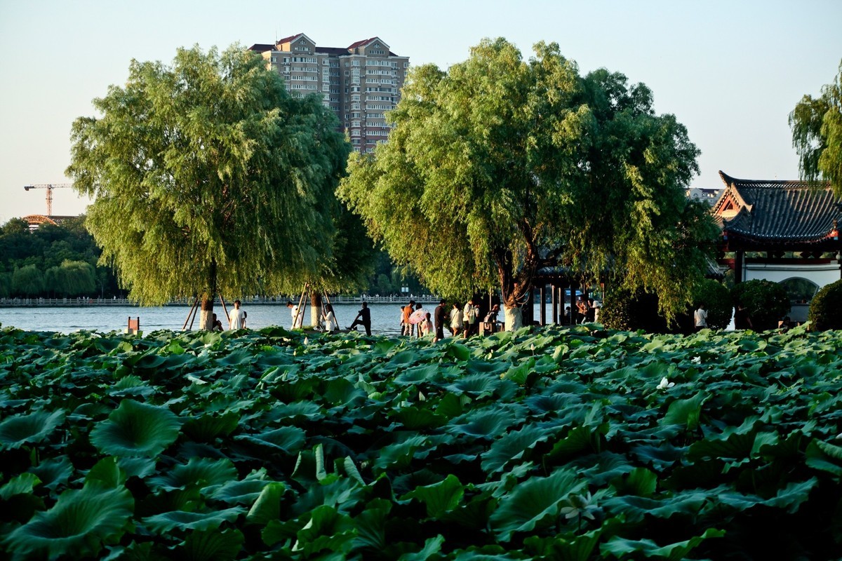 明湖傍晚——景美人更美
