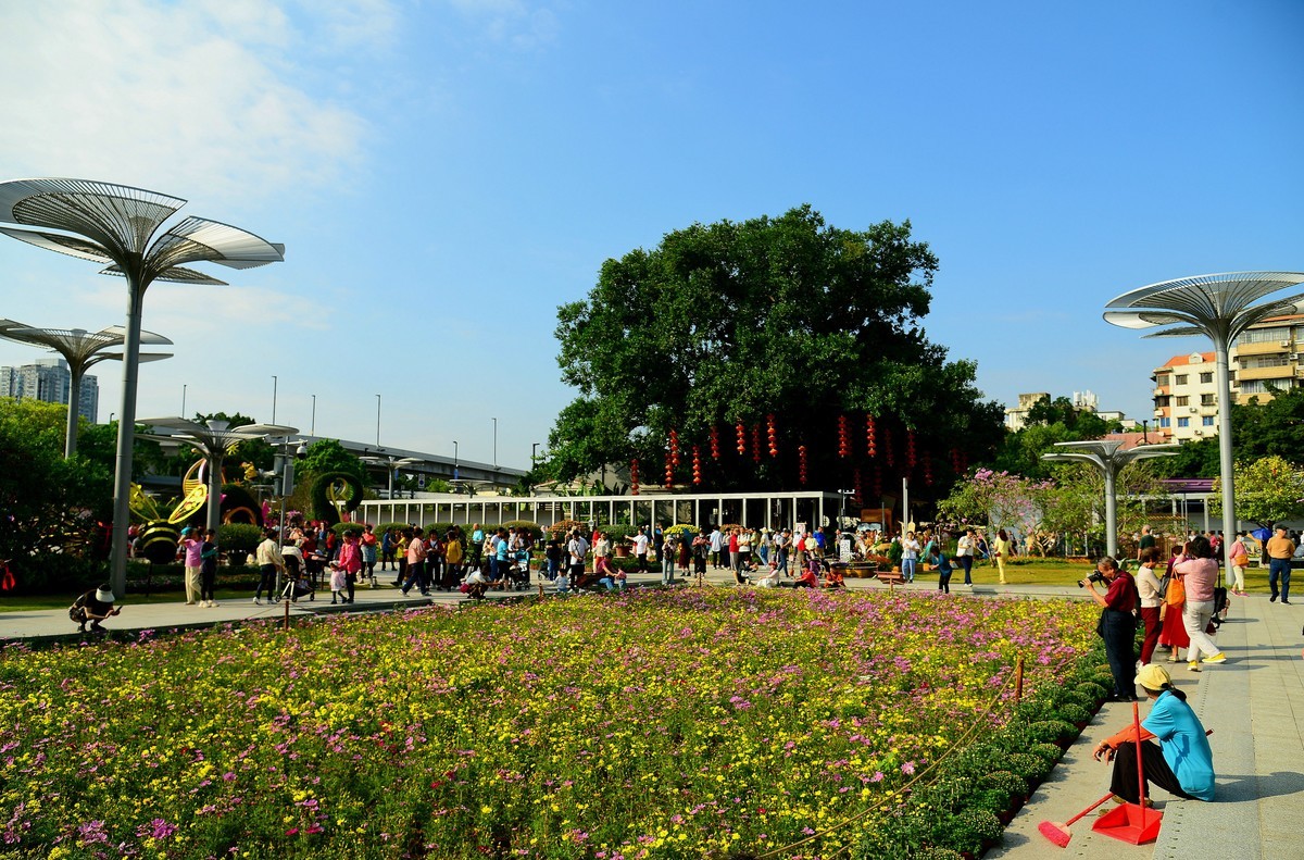 文园。。。。。。