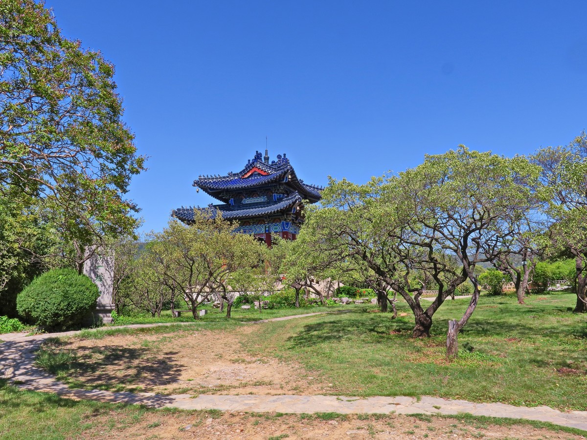晴空万里的梅花山