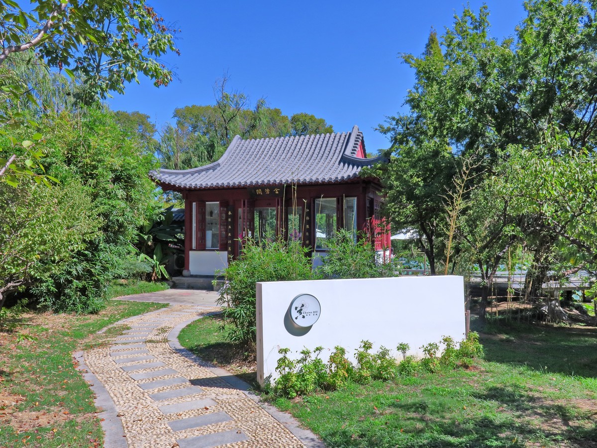 晴空万里的梅花山