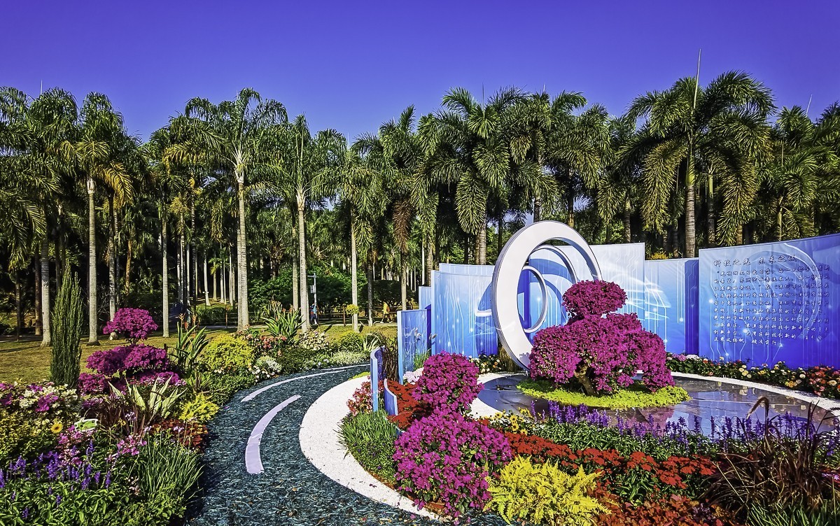 深圳莲花山公园 ~ 掠影-中关村在线摄影论坛