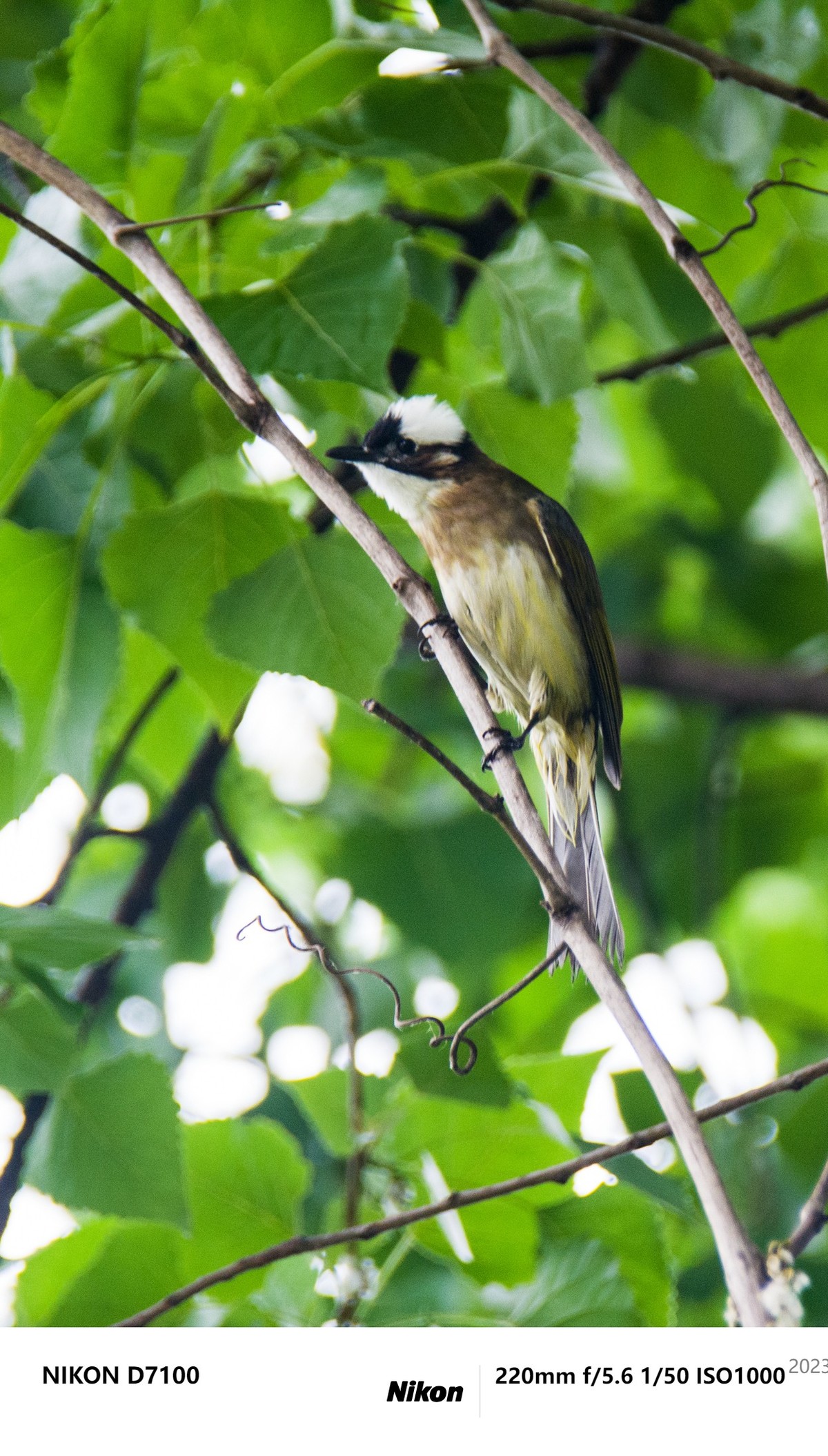 之前D7100拍的最后一些照片，给整理下，留个纪念