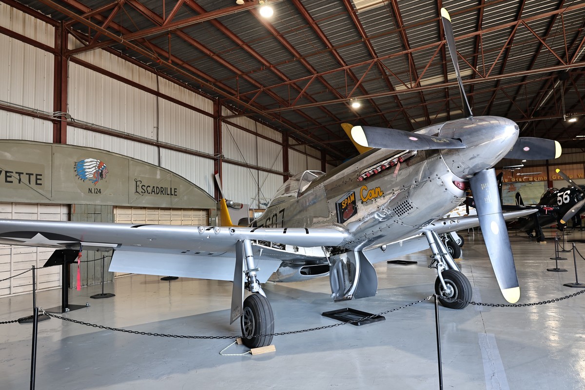 R8配24-105/f4-7.1拍摄