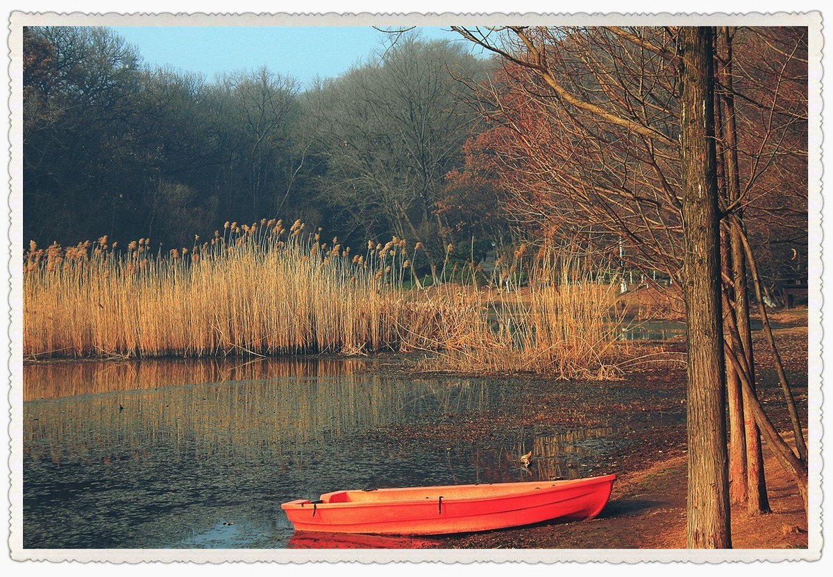 枯黄、暗淡的琵琶湖