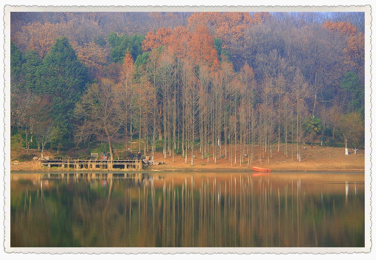 枯黄、暗淡的琵琶湖