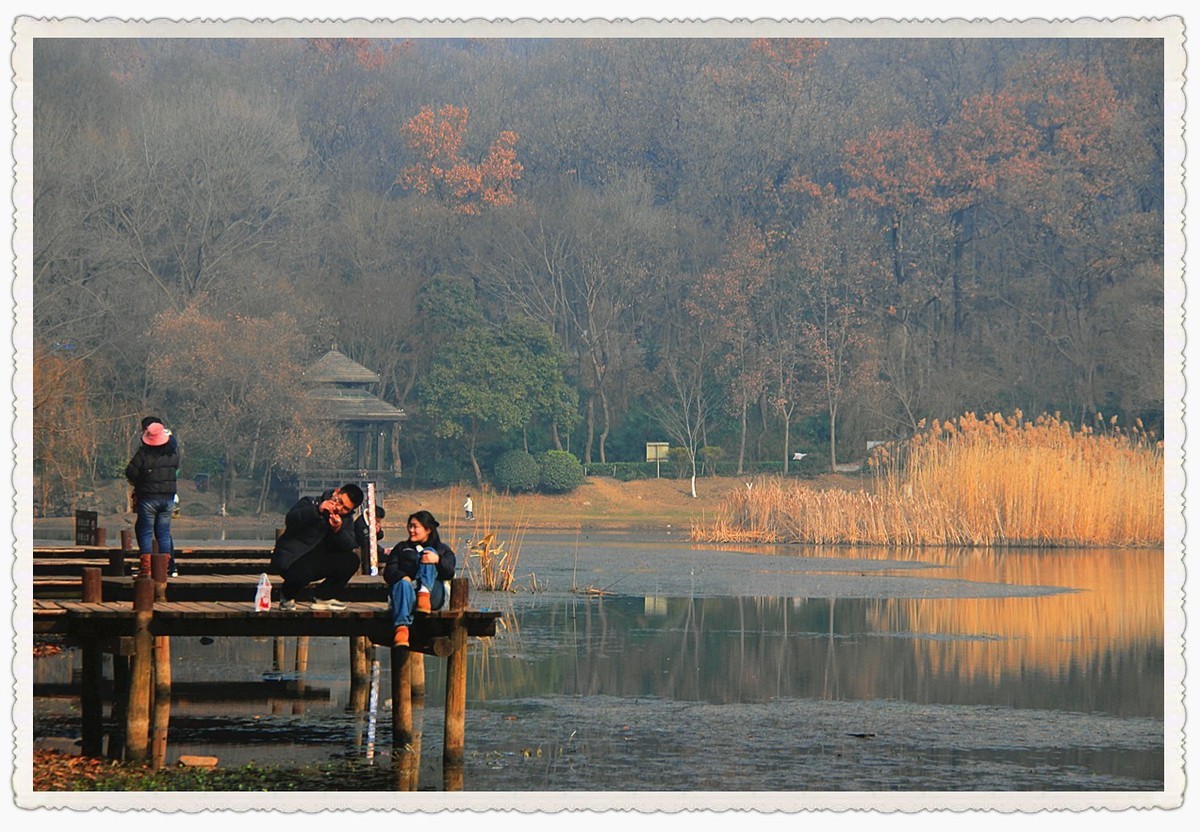 枯黄、暗淡的琵琶湖