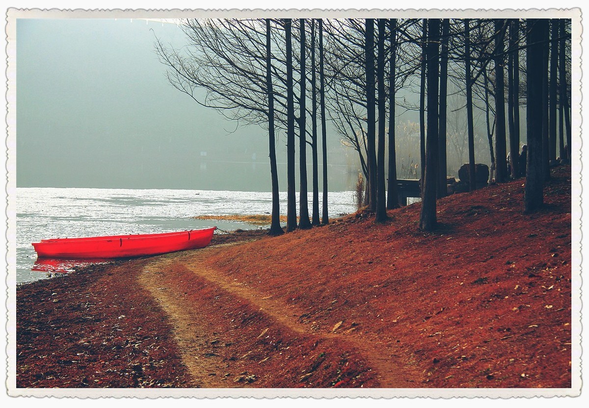 枯黄、暗淡的琵琶湖