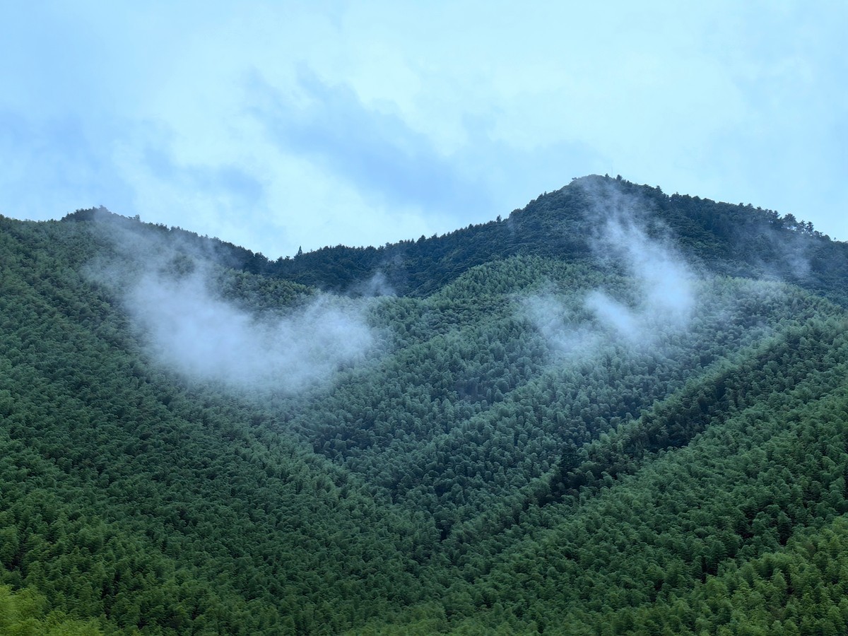莫干山纪行之一