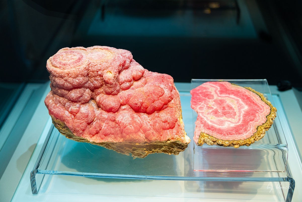 安徽省地质博物馆纪实