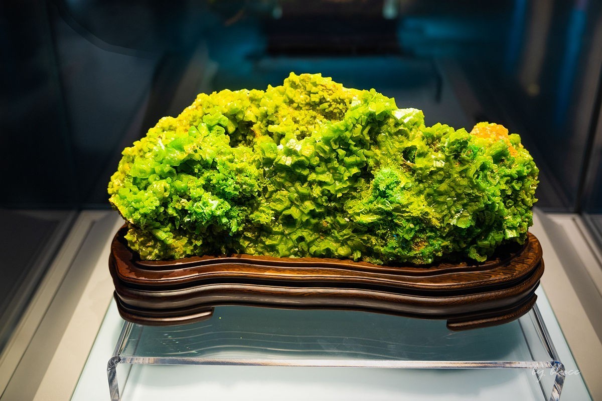 安徽省地质博物馆纪实