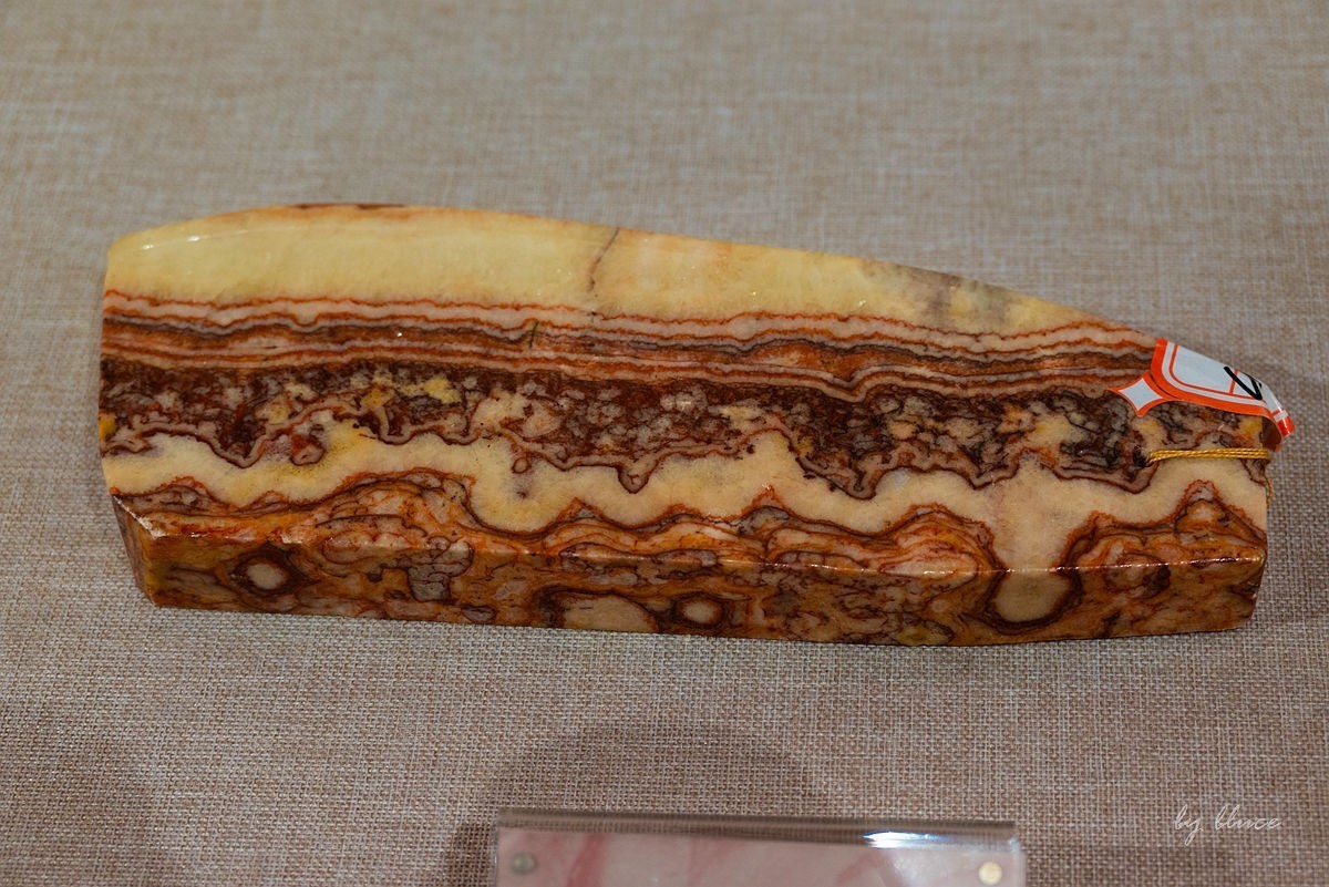 安徽省地质博物馆纪实