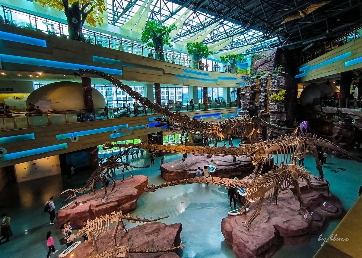 安徽省地质博物馆纪实