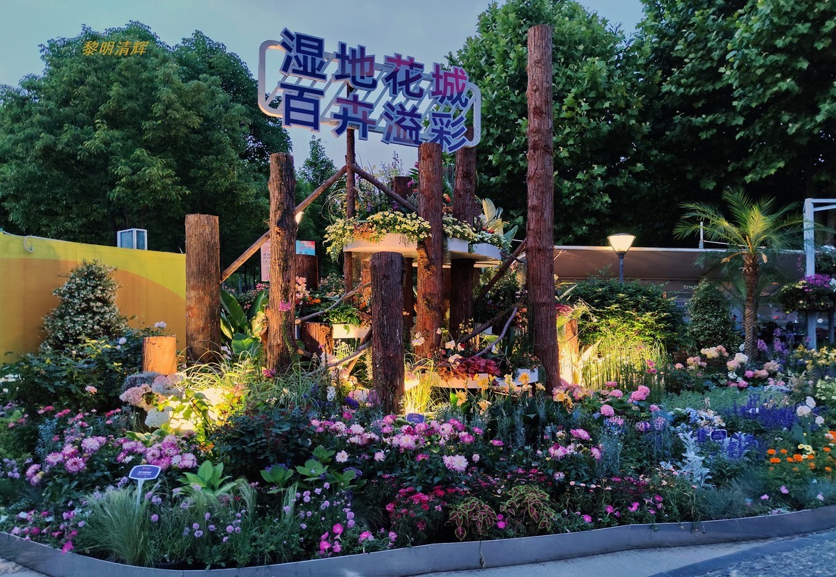 世界花园节（武汉）—2