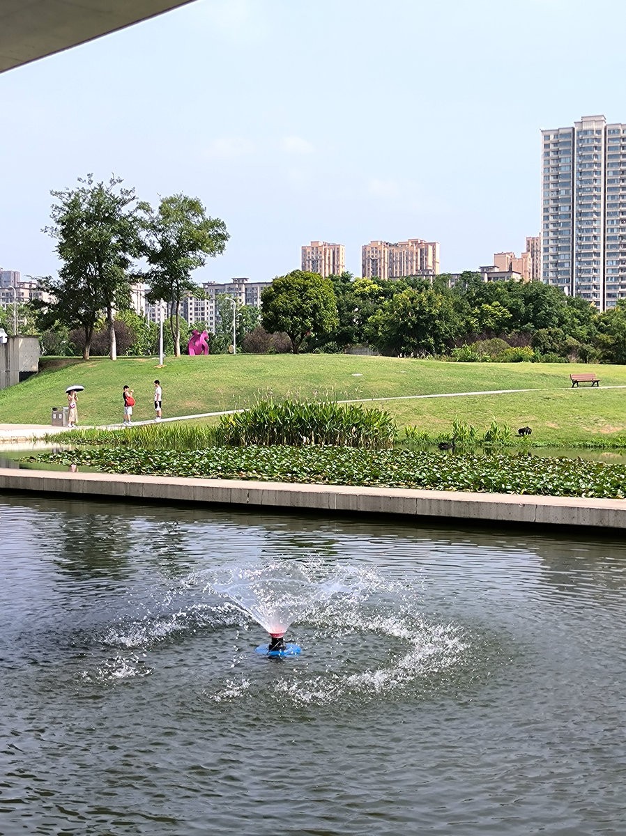 漫步星城 走街串巷（481）天鹅湖的夏季
