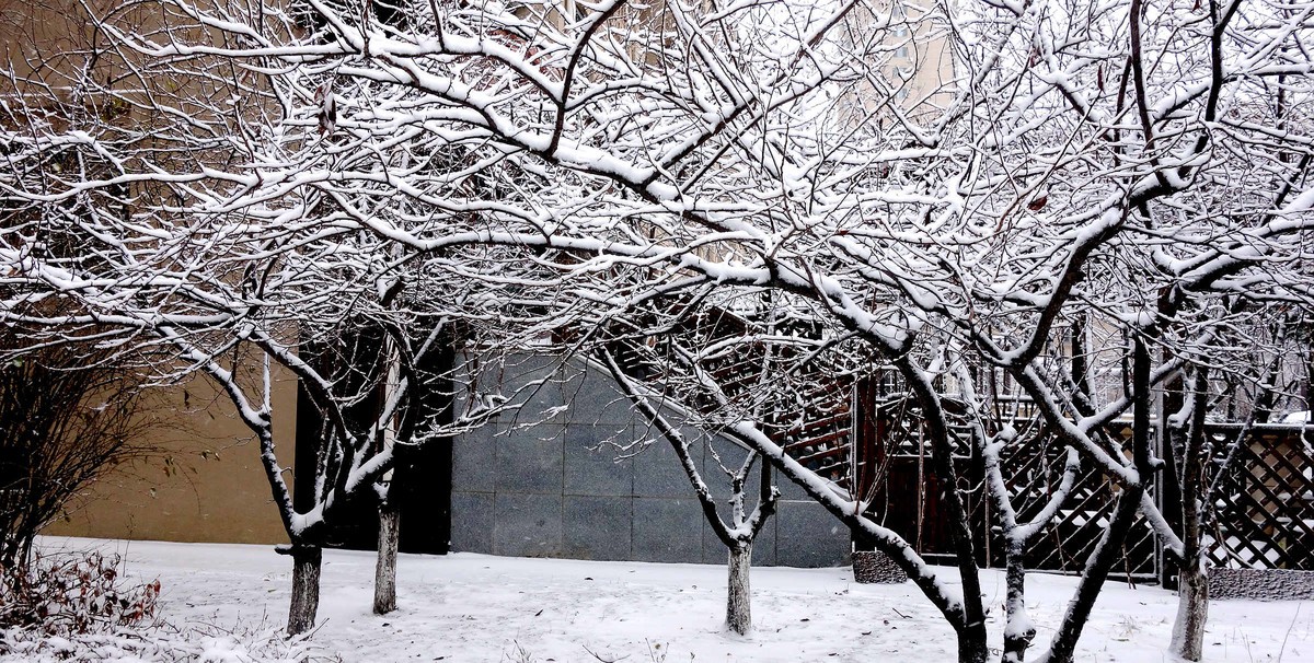 小区今年第一次下雪