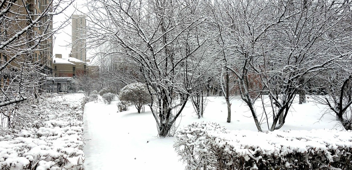 小区今年第一次下雪