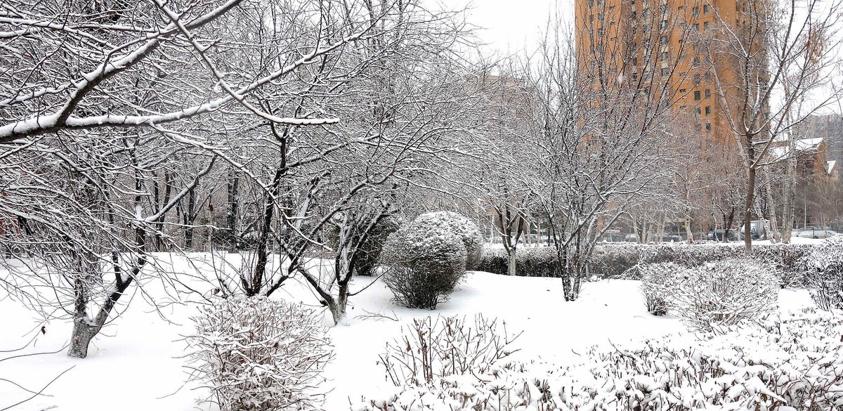 小区今年第一次下雪