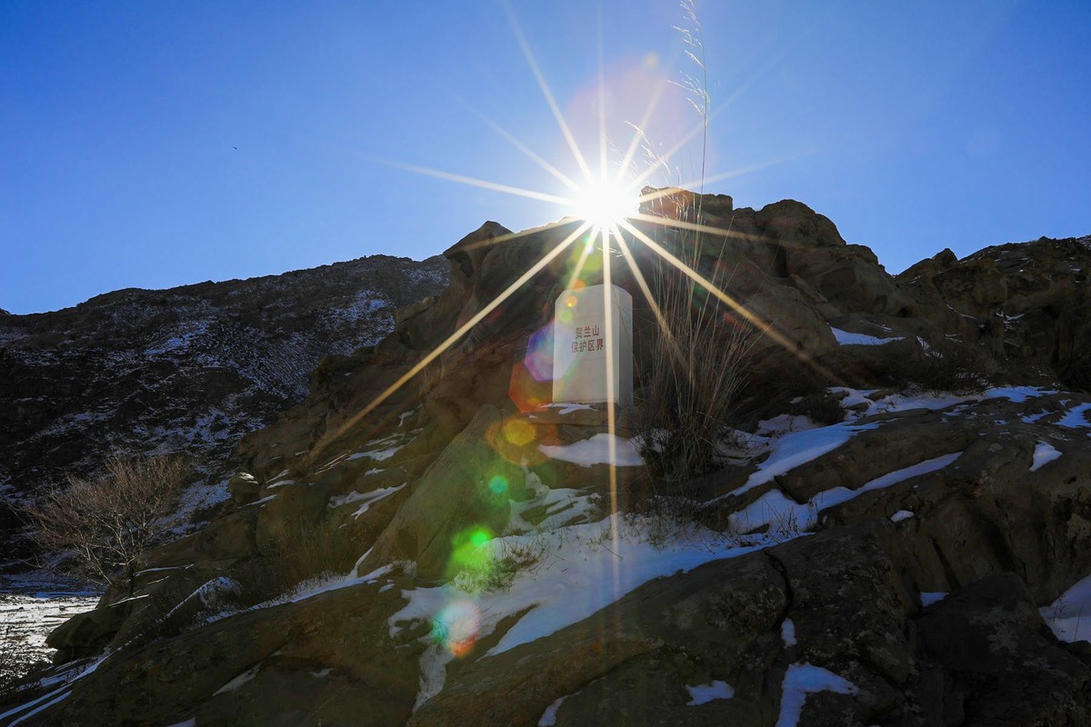 雪后去爬贺兰山