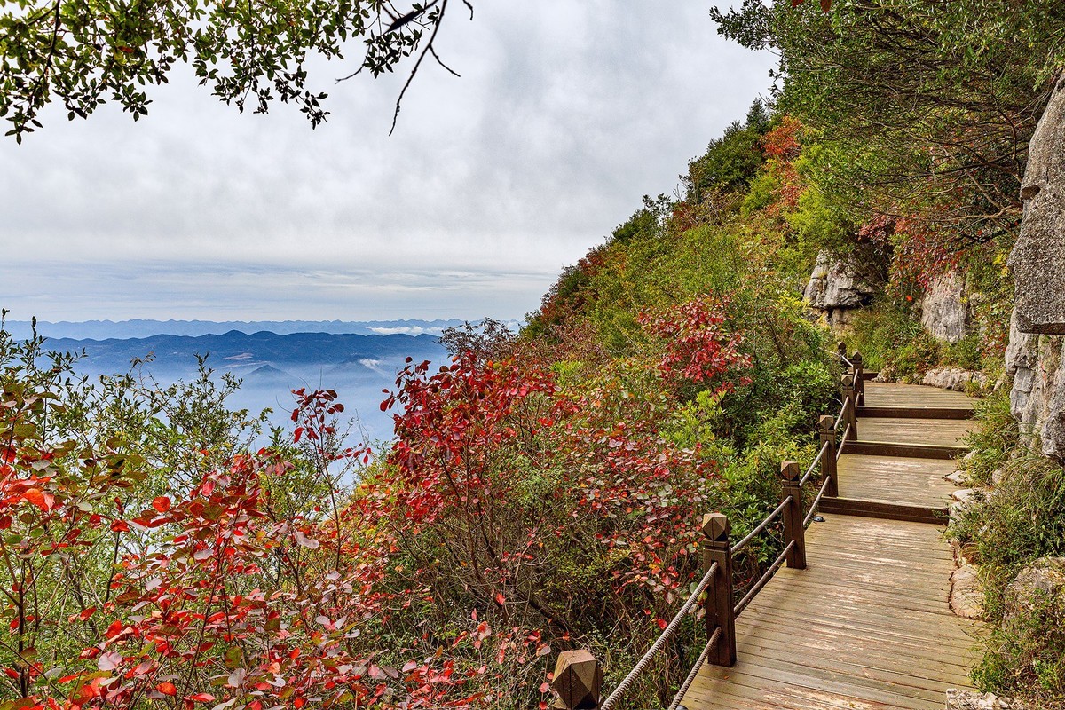 旅游记录 ：重庆 · 奉节 · 三峡之巅