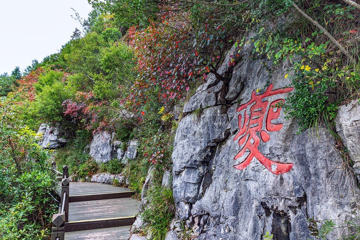 旅游记录 ：重庆 · 奉节 · 三峡之巅