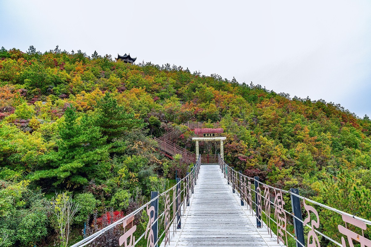 旅游记录 ：重庆 · 奉节 · 三峡之巅