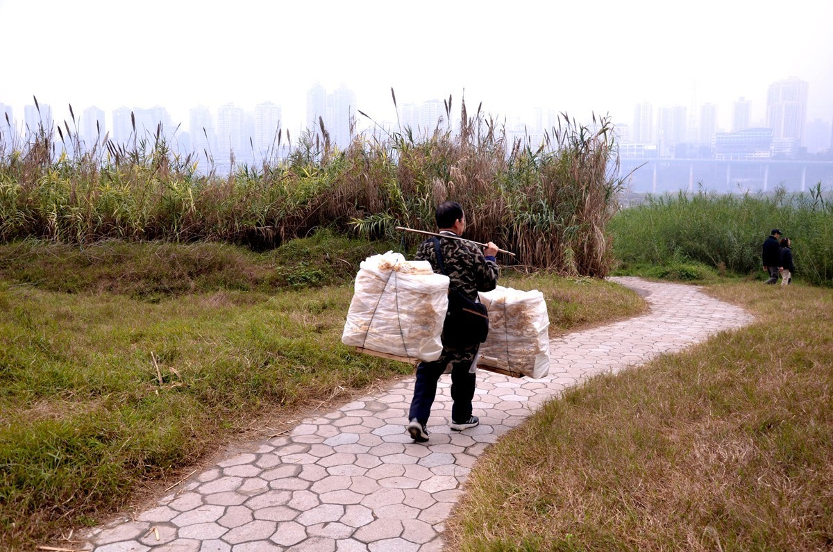 冬季江滩公园 (二)