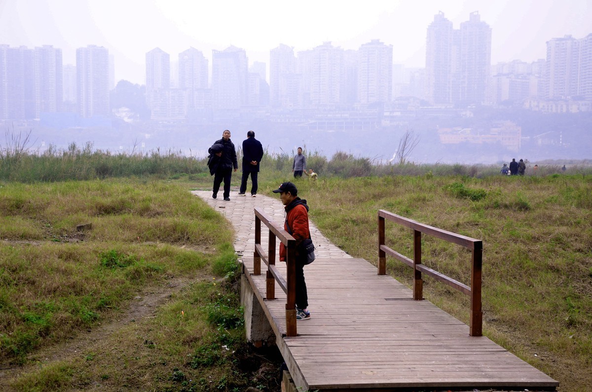 冬季江滩公园 (二)