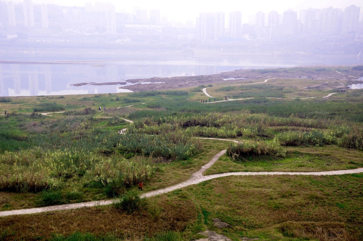 冬季江滩公园 (二)