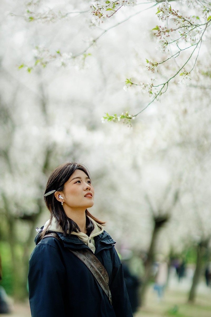鼋头渚樱花美女蹭拍