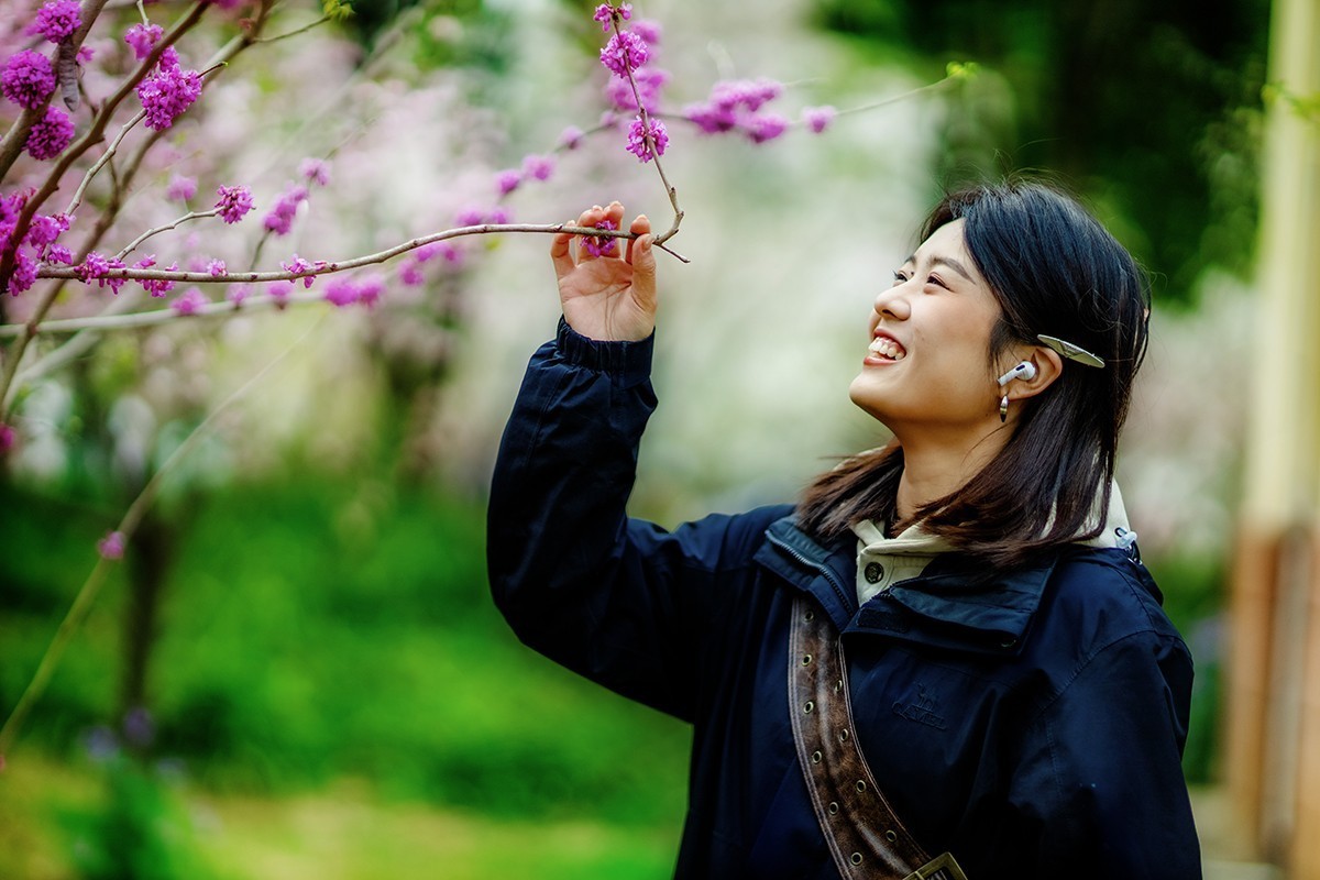 鼋头渚樱花美女蹭拍