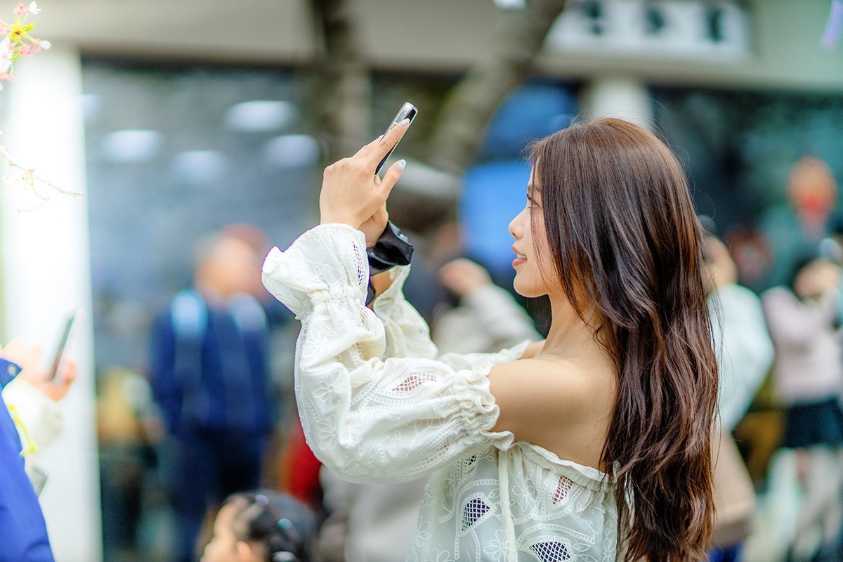 鼋头渚樱花美女蹭拍