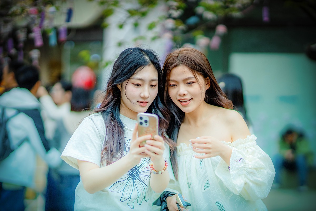 鼋头渚樱花美女蹭拍