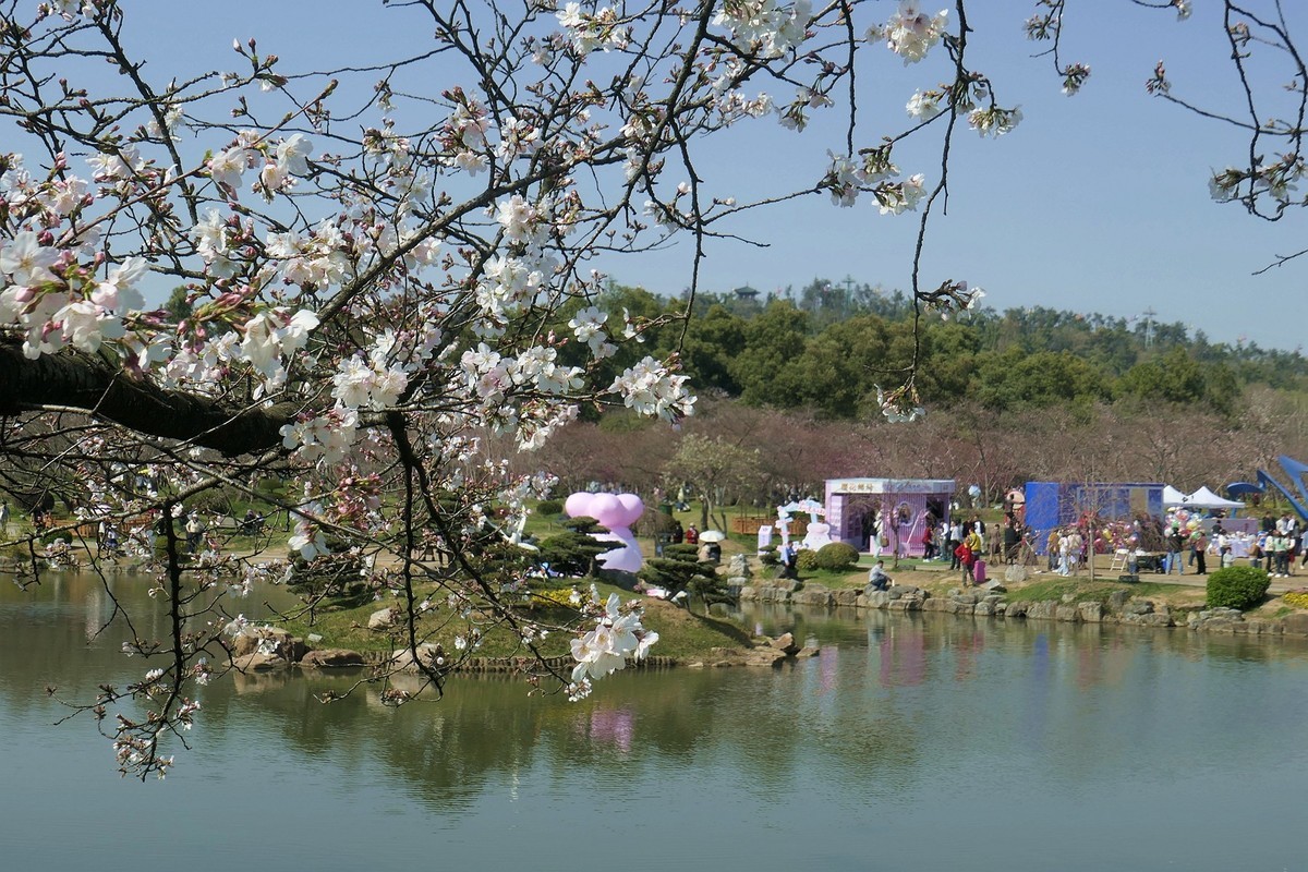 东湖樱花园六