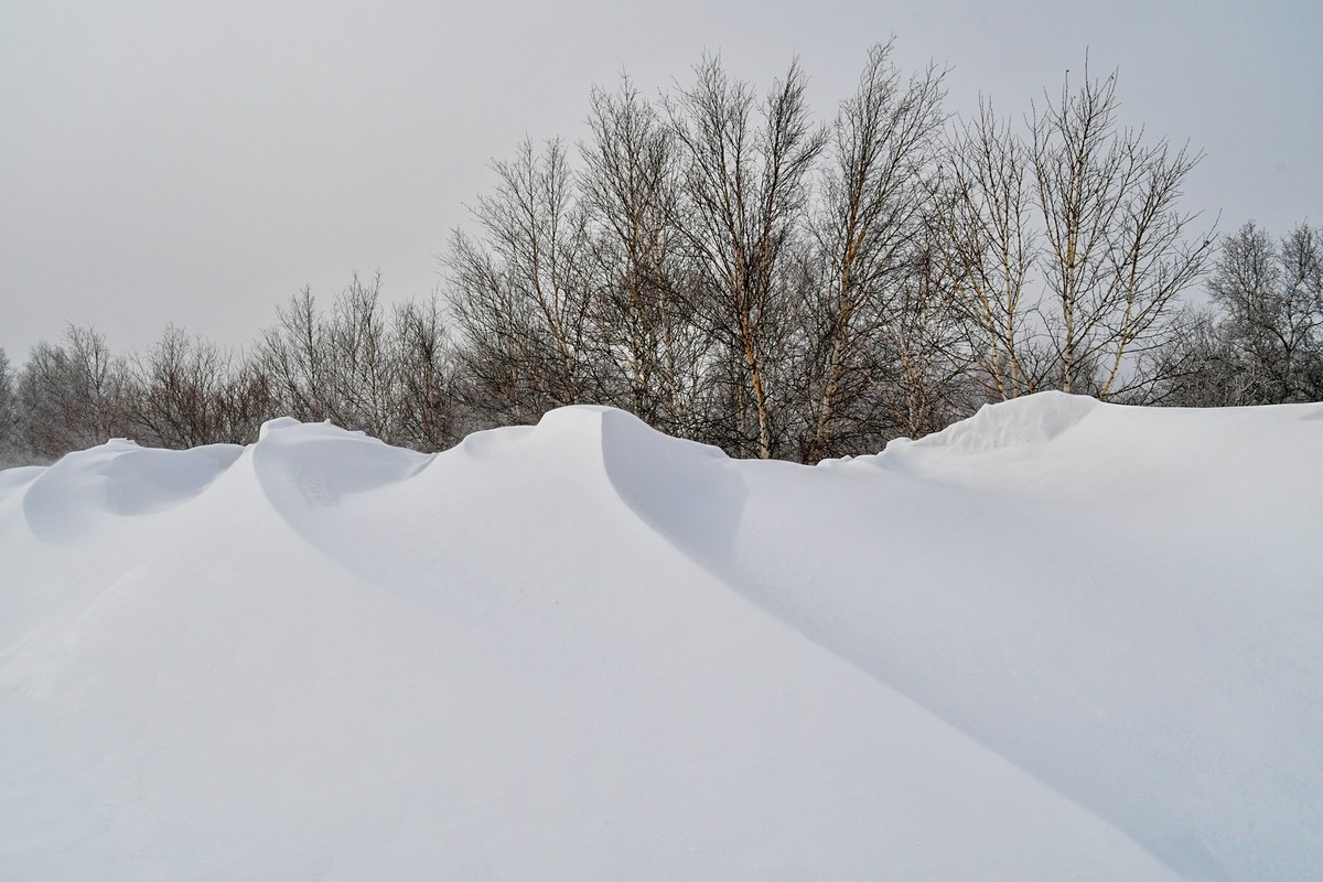 我只是把出去看到的随手记录下来（166）