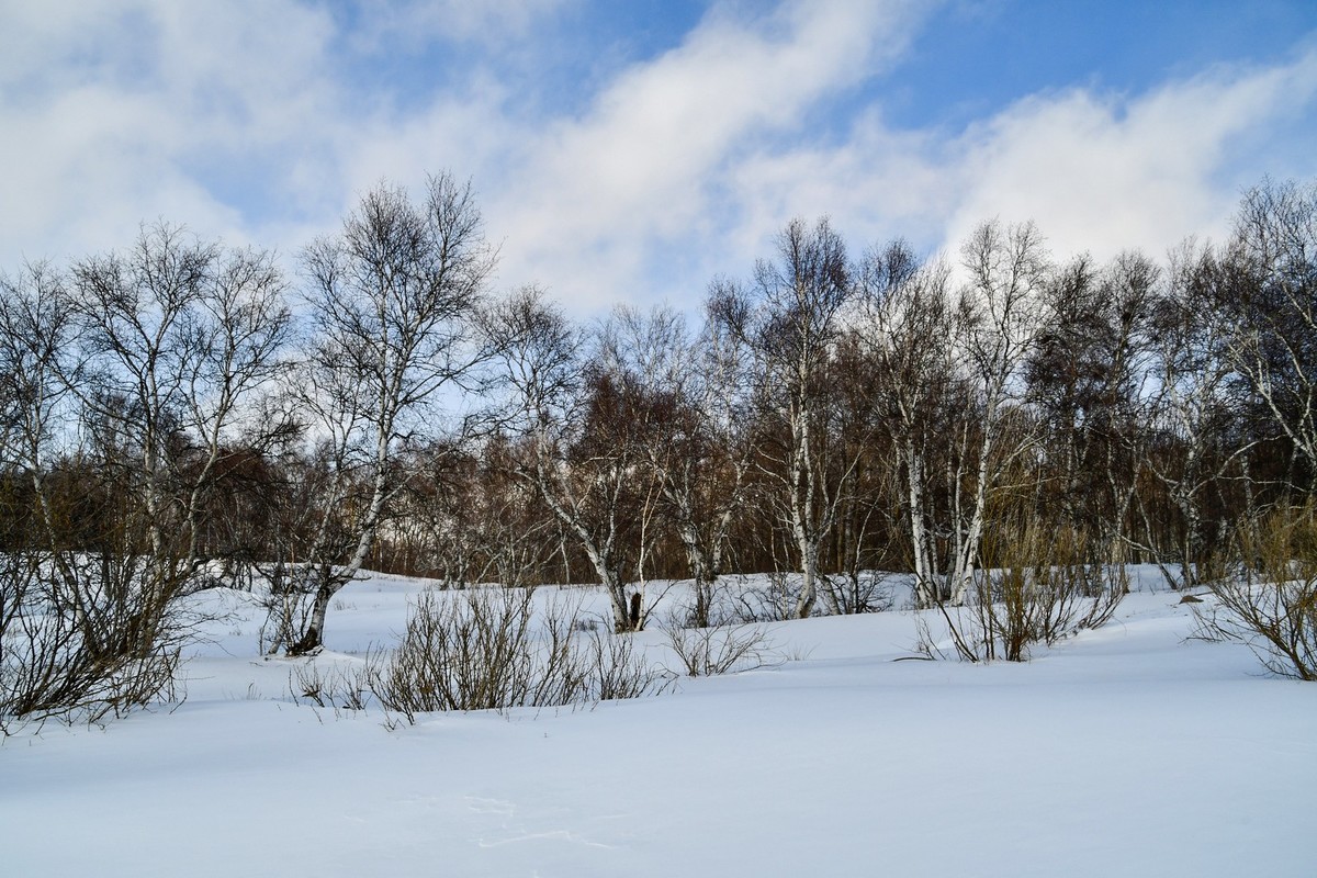 我只是把出去看到的随手记录下来（166）