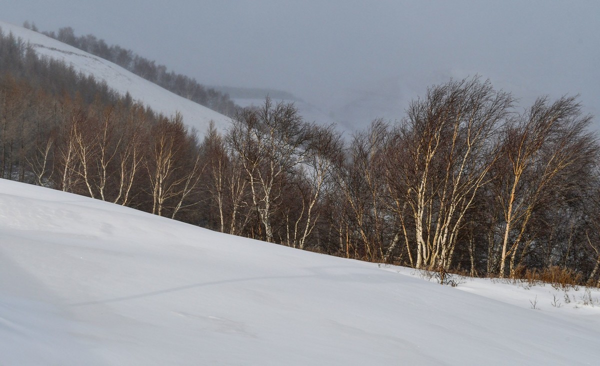 我只是把出去看到的随手记录下来（166）