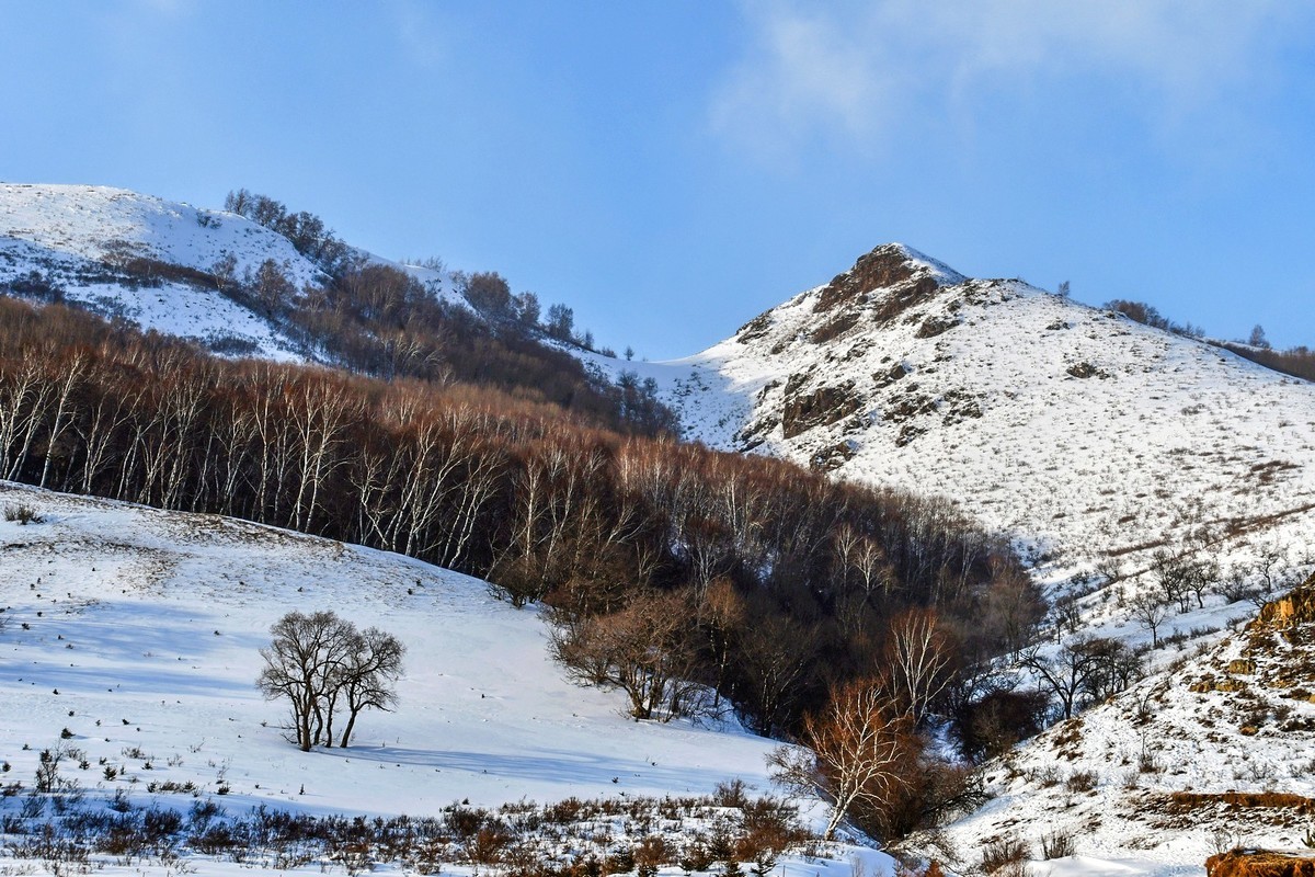 我只是把出去看到的随手记录下来（166）