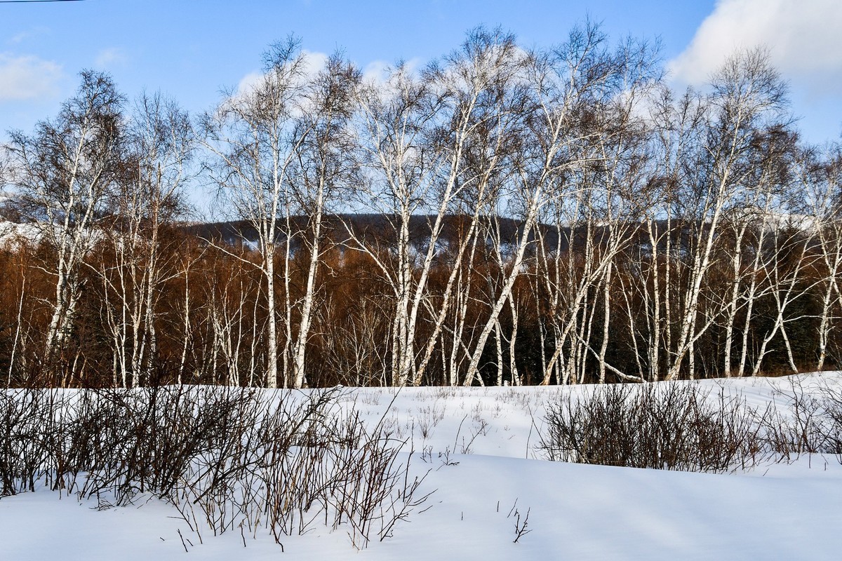 我只是把出去看到的随手记录下来（166）